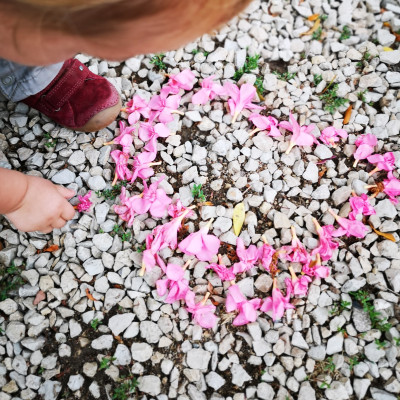 Blumenbilder